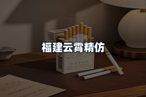 福建云霄精仿